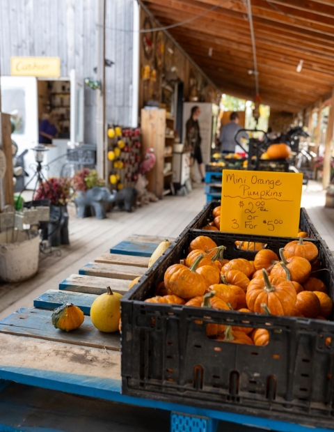 Many items for sale at The Berry Barn