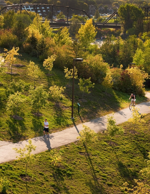 An aerial view of a park with lot of trees and paved paths.