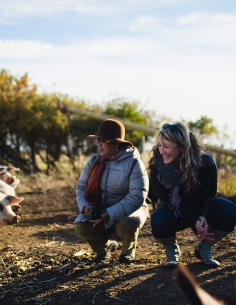 women feeding pigs in the fall