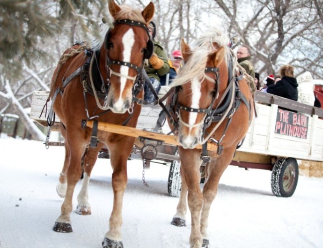 Barn Playhouse – Barn Playhouse Horses