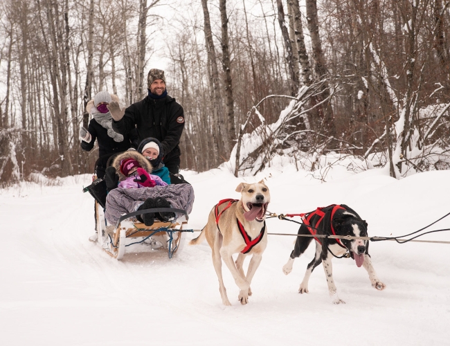 Dogsledding and Sauna