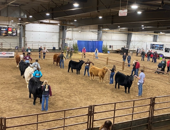 Saskatchewan Beef Expo – 2022 SBE Showmanship