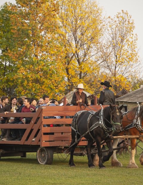 horse drawn wagon 