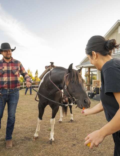 Cowboy with a horse and a women petting the horse