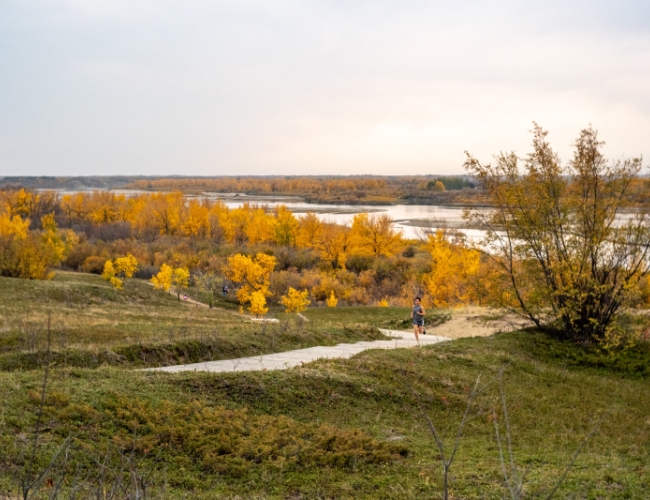 Cranberry Flats Conservation Area – Cranberry Flats