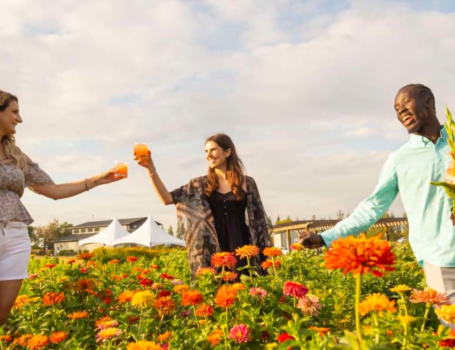 three women with cocktails walking through a field